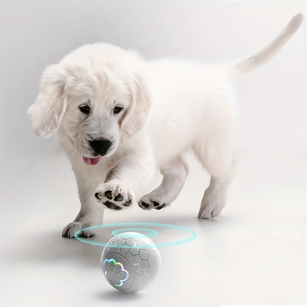 Smart Dog Toy Ball – USB Automatic Bouncing Rolling Ball with RGB Lights