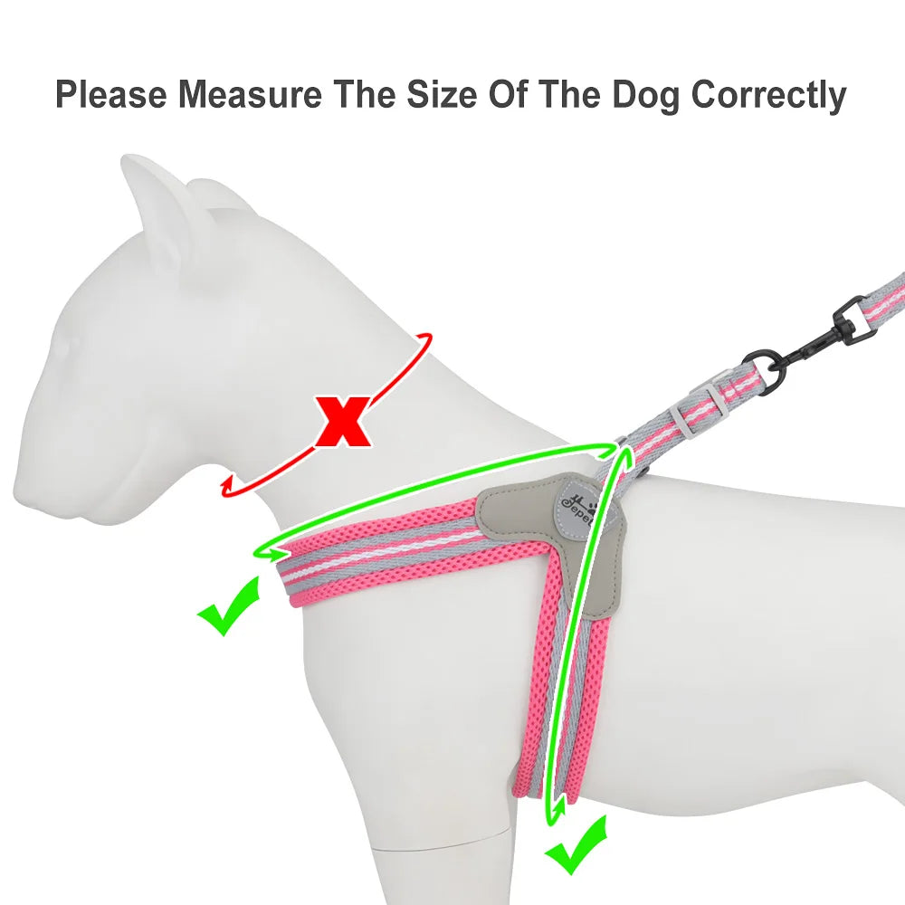 🐾 Vest Style Dog Harness & Leash Set – Adjustable Chest Strap for Small & Medium Dogs