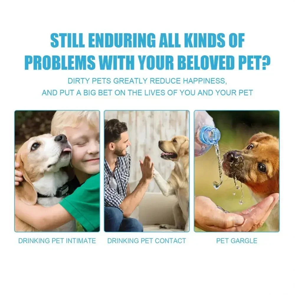 🪥 Cat Toothbrush – Soft Bristles for Gentle Teeth Cleaning | Pet Dental Care Grooming Tool