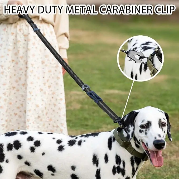 Reflective Tactical Bungee Dog Leash with Car Seatbelt – Shock-Absorbing, No-Pull Lead