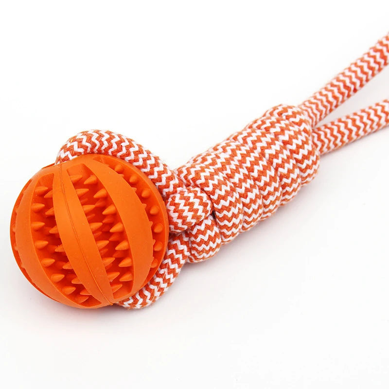 Pet Tooth Cleaning Rubber Ball Toy with Rope – Leaking Treat Chew Toy for Small & Large Dogs