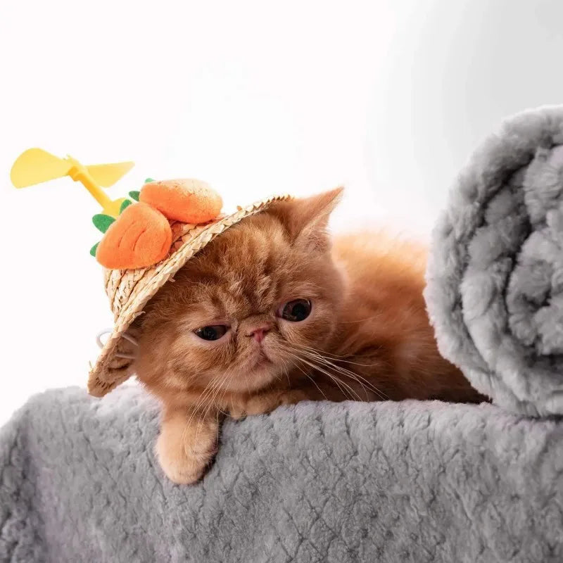 Warm Soft Fuzzy Pet Blanket – Plush Fleece Throw for Dogs & Cats