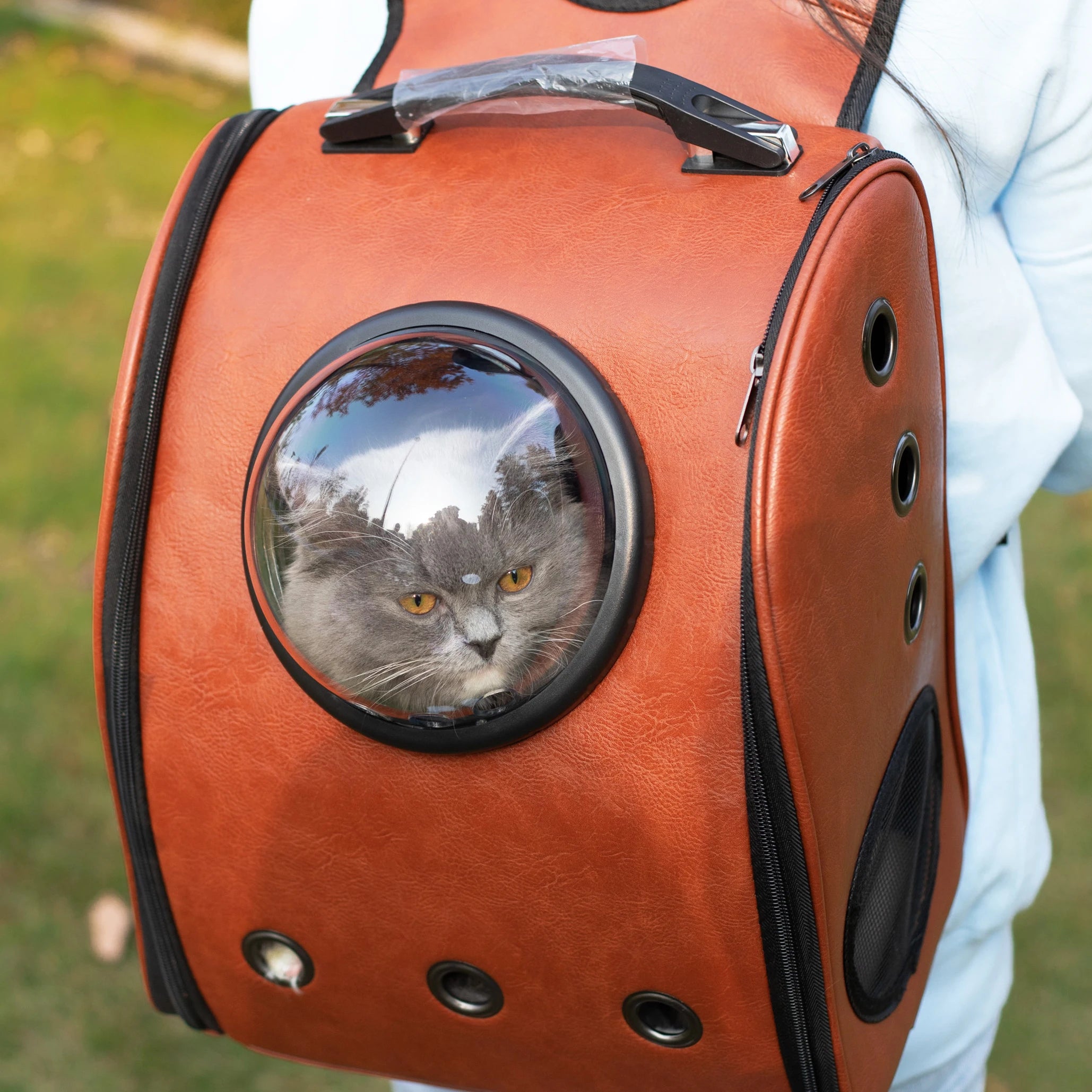 Indestructible Dog Chew Toy for Aggressive Chewers 🐶💪