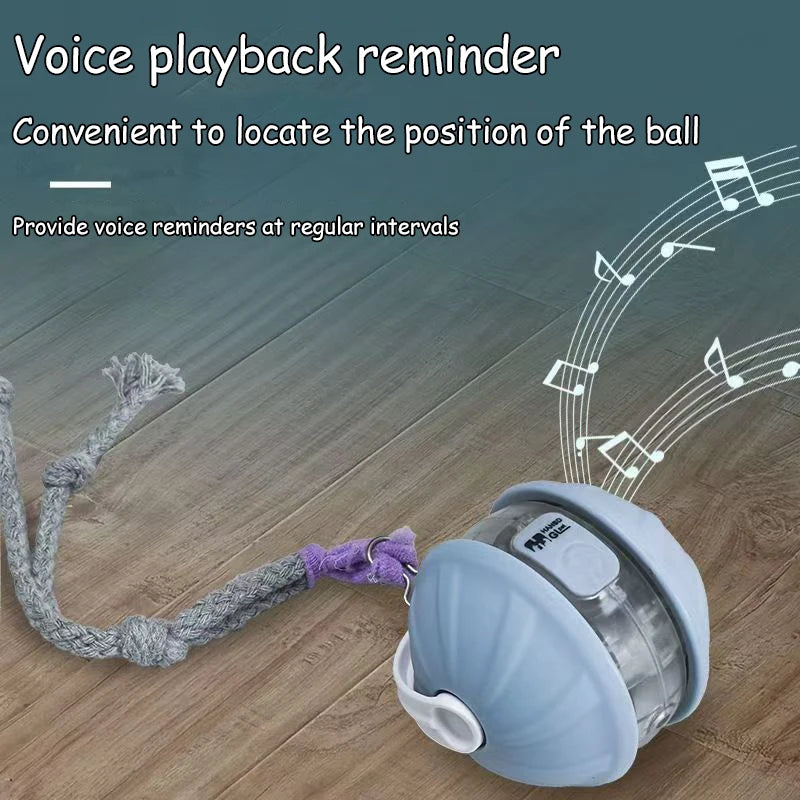 Infrared Interactive Cat Ball Toy – Rechargeable Rolling Tail Toy Imitating Mouse