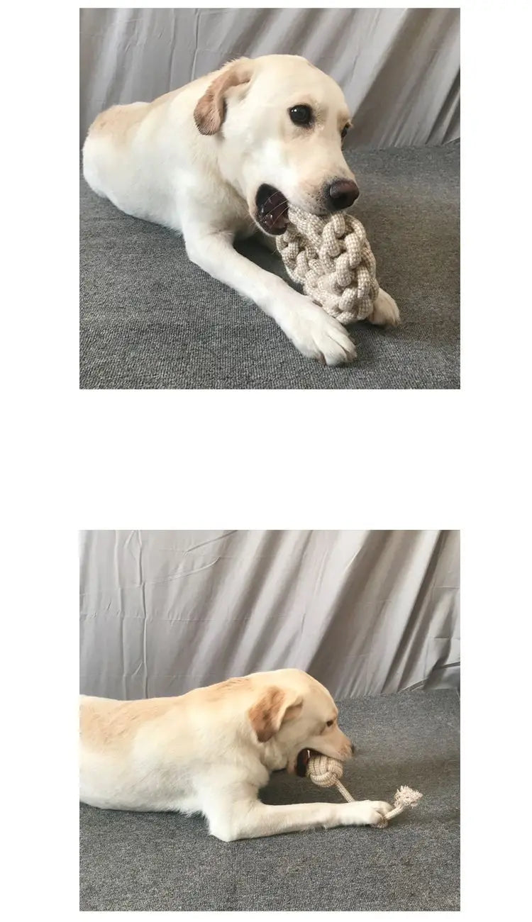 Knot Chew Toy – Teeth Cleaning & Interactive Play for Pets 🪢🐾