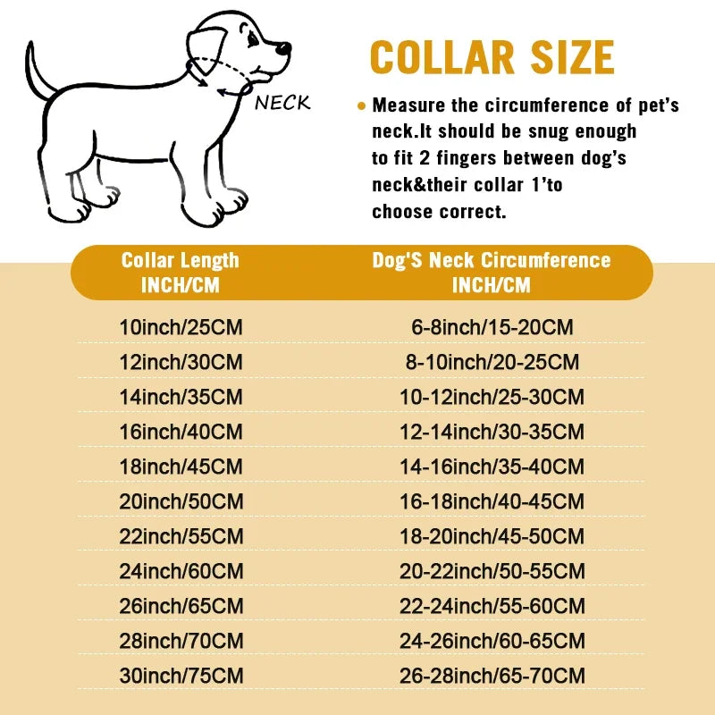 🐕 Heavy-Duty Gold Chain Dog Choke Collar – 10mm Gold-Plated Stainless Steel