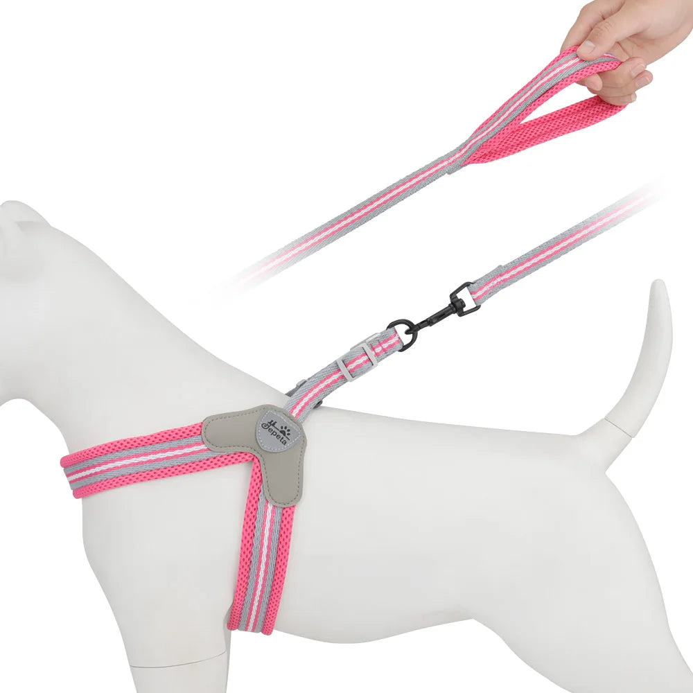 🐾 Vest Style Dog Harness & Leash Set – Adjustable Chest Strap for Small & Medium Dogs
