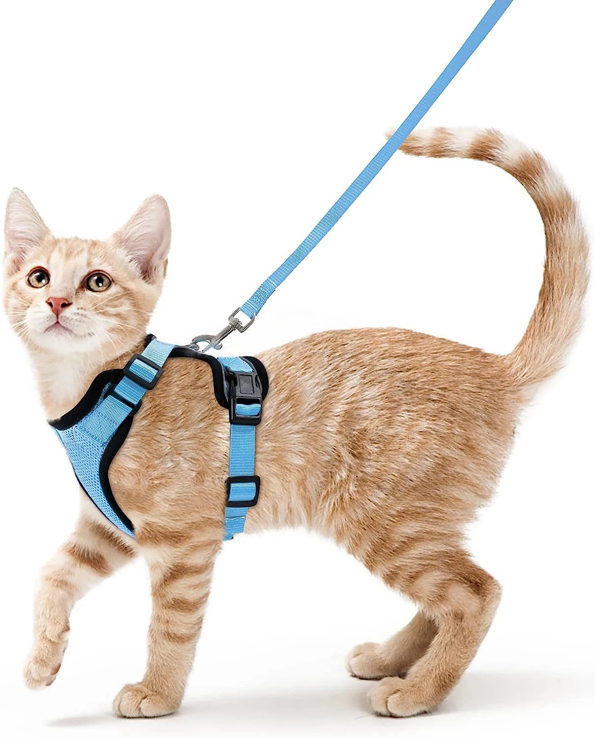 Cat Harness and Leash – Escape-Proof Soft Adjustable Vest with Easy Control