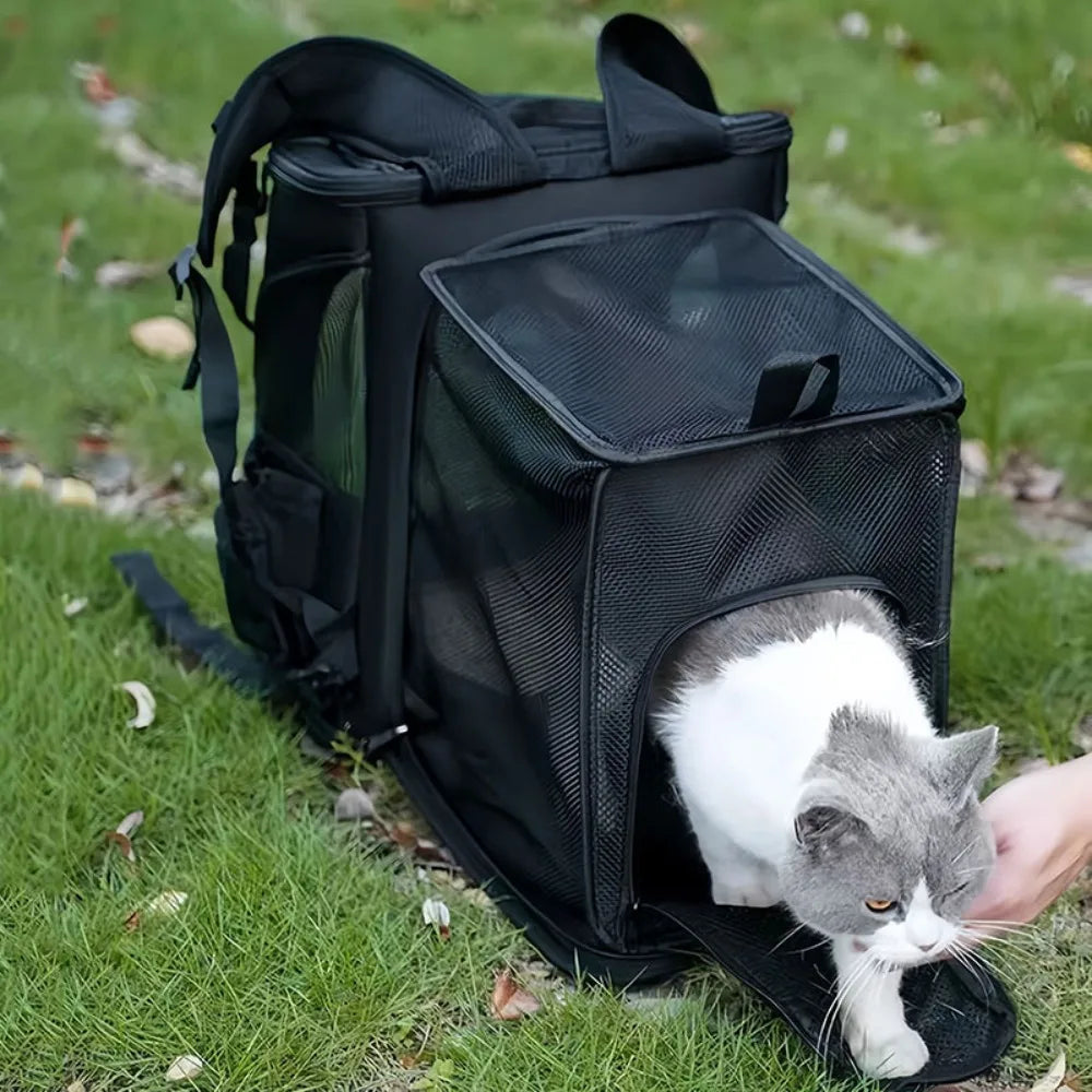 Breathable Expandable Pet Carrier Backpack – Foldable Cat & Dog Travel Bag with Large Capacity for Outdoor Trips & Vet Visits