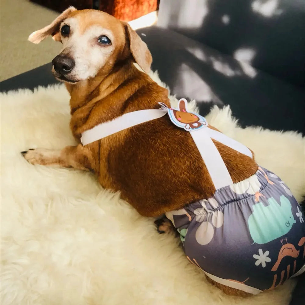 Cartoon Print Female Dog Diaper Shorts – Cute Puppy Physiological Pants