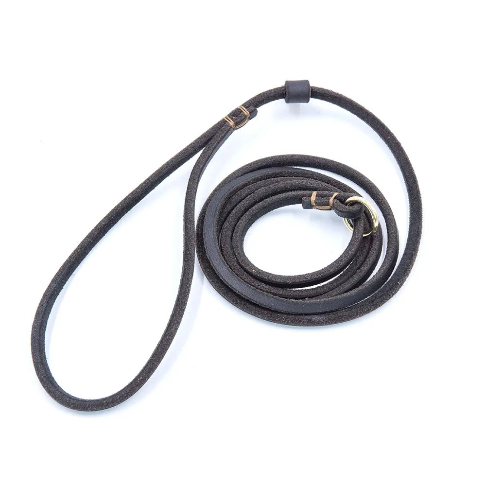 🐶 Soft Slim Genuine Leather Dog Slip Lead – No-Pull Training Control Leash for Small Dogs