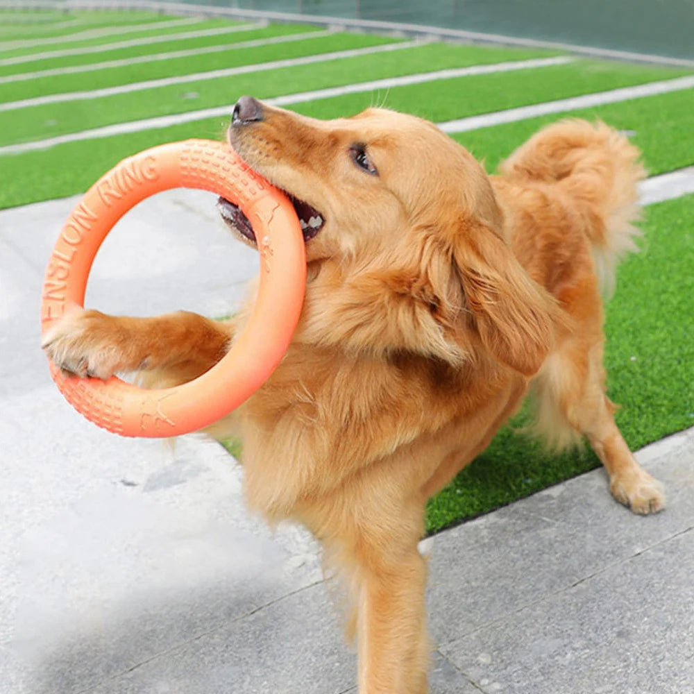 EVA Dog Training Ring Puller – Orange Interactive Flying Disk Toy for Dogs