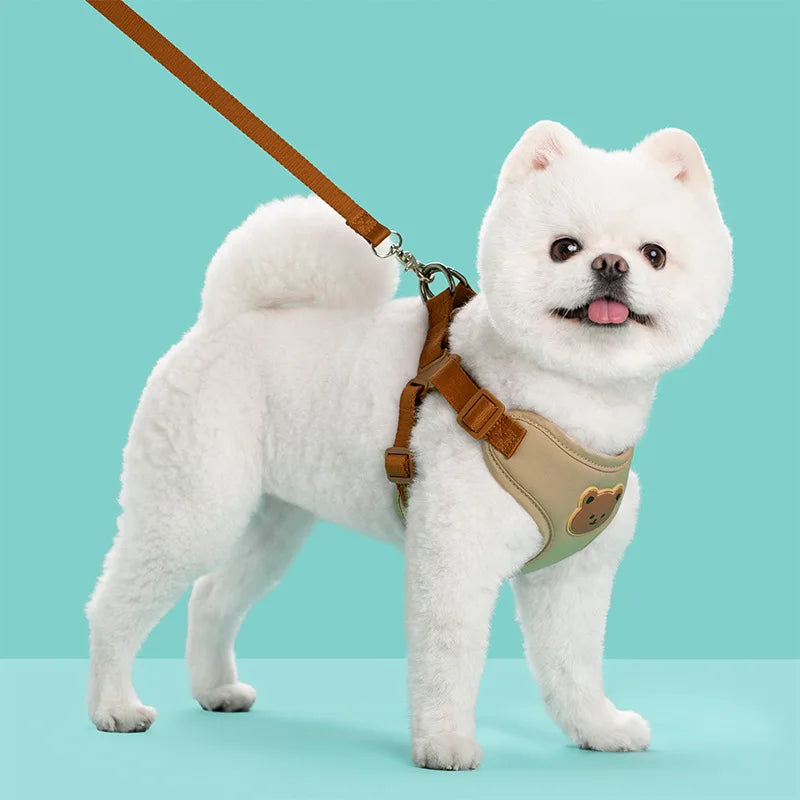 🐾 Breathable Pet Dog Harness & Leash Set – For Small & Medium Dogs & Cats