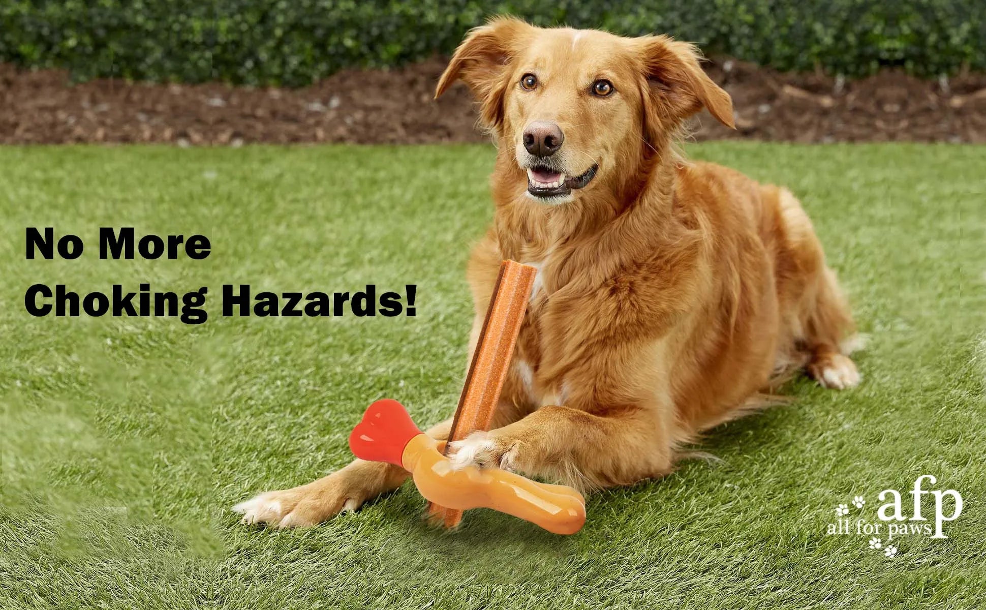 🐶 All For Paws Dog Bully Stick Holder – Chew Safety Device, Anti-Choking & BPA-Free 🦴🛡️