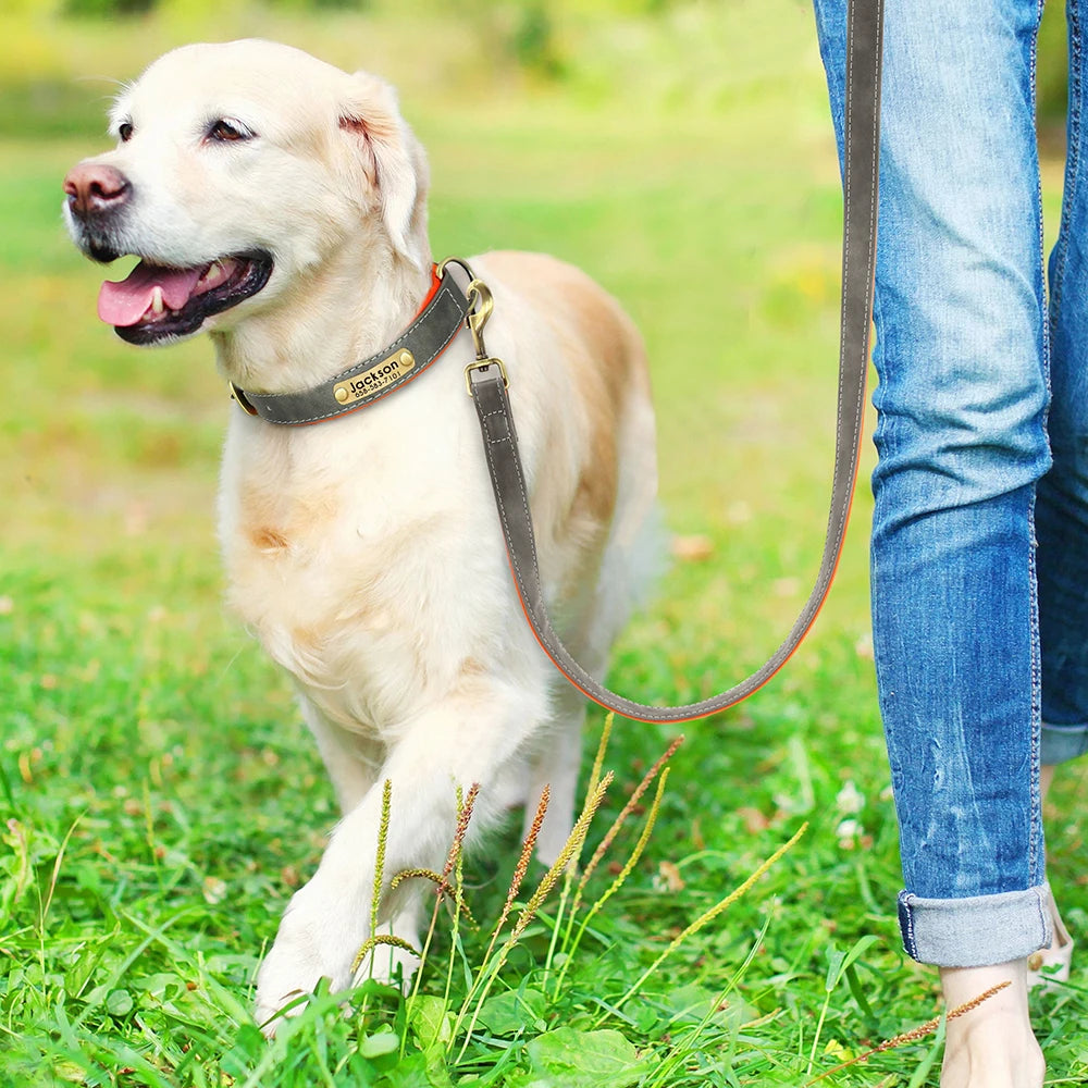 Custom Leather Dog Collar & Leash Set – Soft Padded with Engraved Nameplate