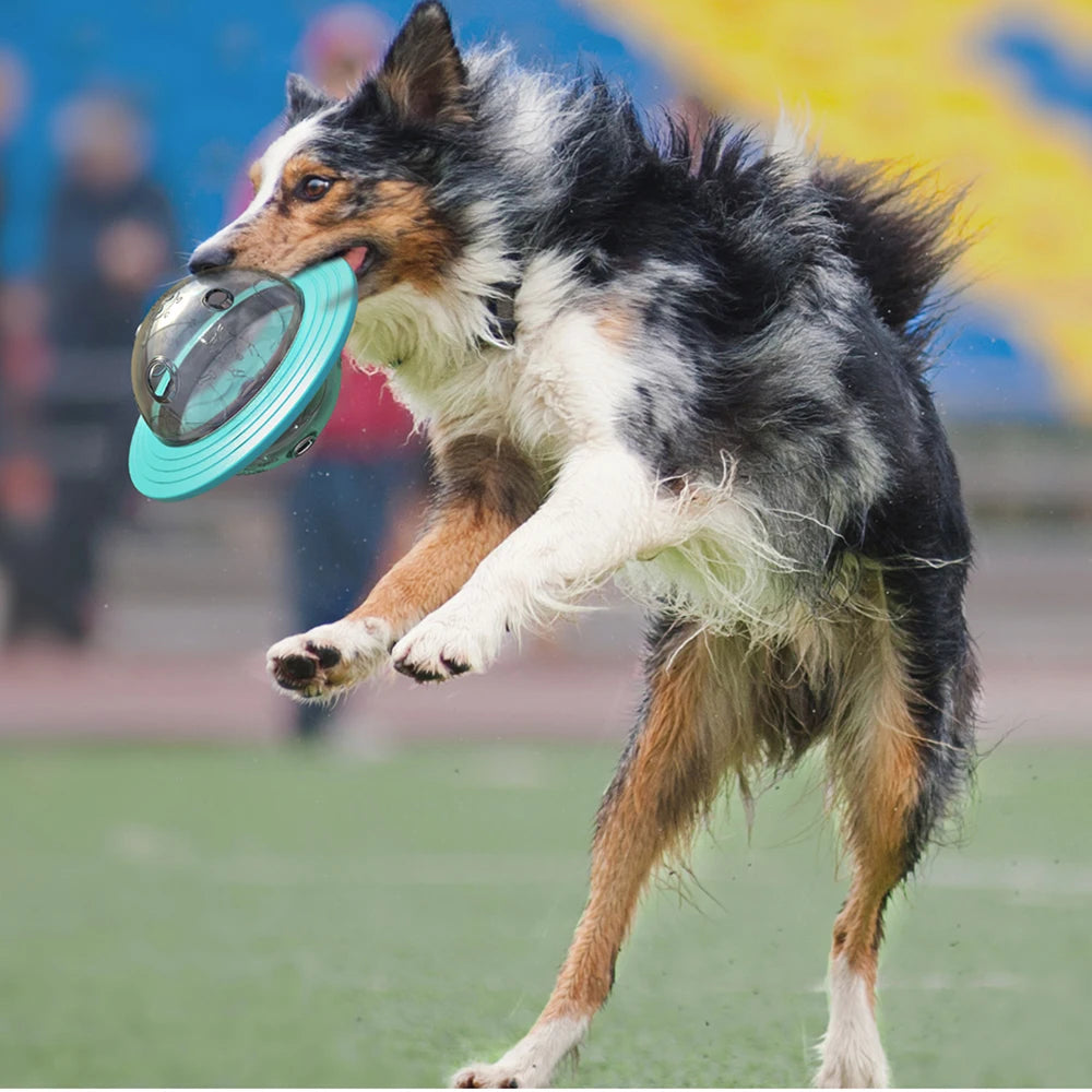 Dog Flying Disk Food Dispenser – Interactive Slow Feeder Toy 🥏🐾