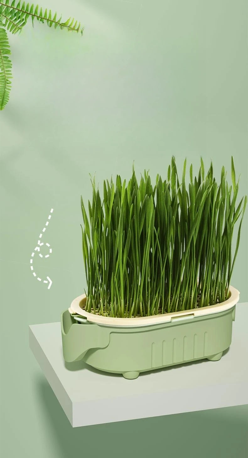 Soilless Hydroponic Growing Cup – Lazy Planting Cup for Hydroponic Cultivation