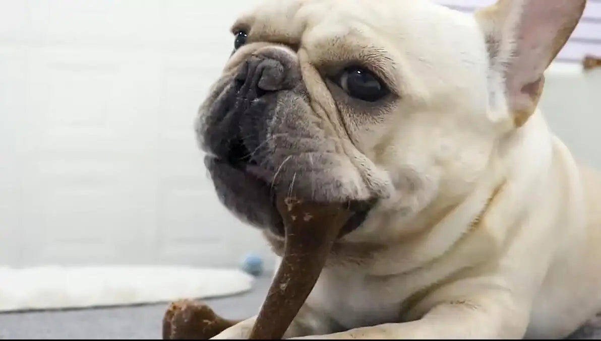 Indestructible Dog Chew Toy for Aggressive Chewers 🐶💪