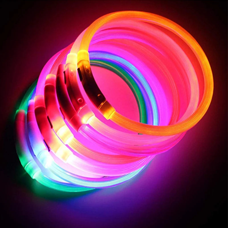 USB Rechargeable LED Glowing Pet Collar – Adjustable Night Light Safety Collar for Dogs & Cats
