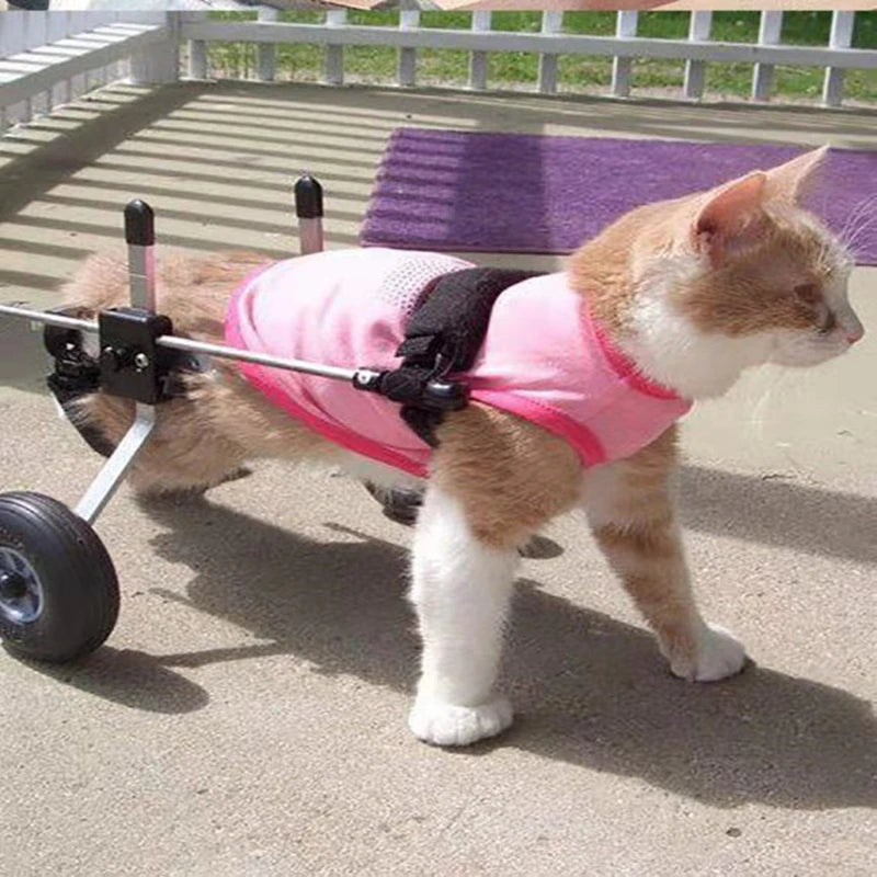 Cat & Small Pet Wheelchair – Hind Leg Injury & Rehab Support Stroller