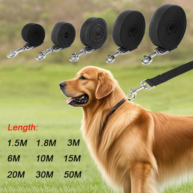 Long Strong Nylon Dog Leash – 10m,15m,20m Training Lead for All Dogs