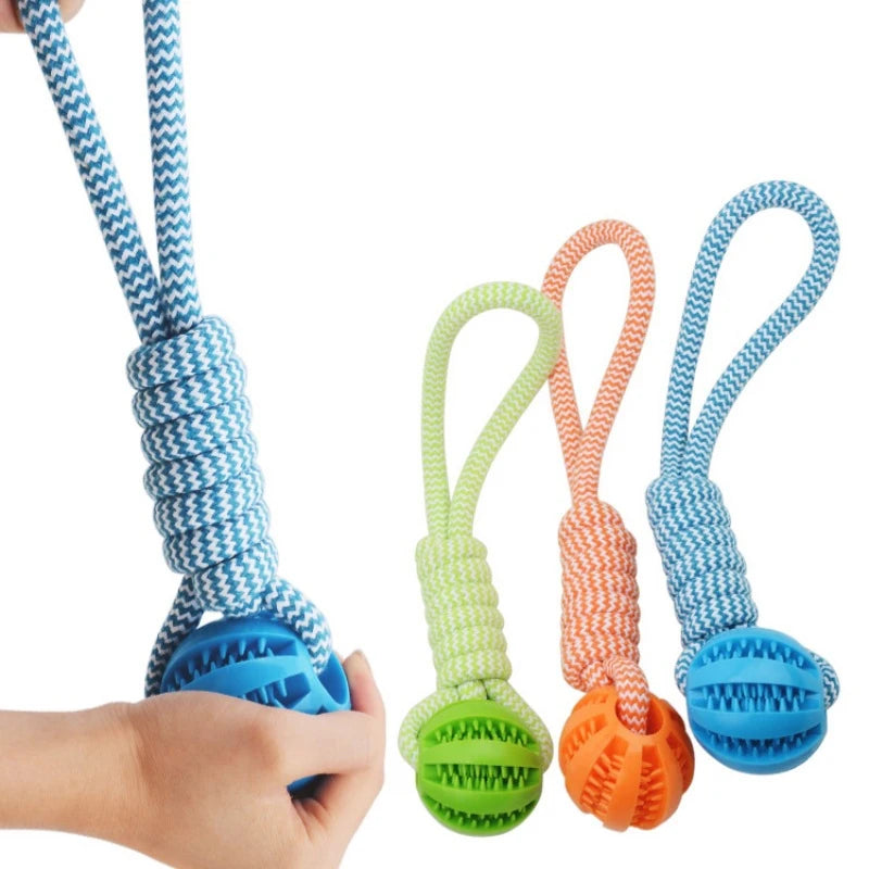 Pet Tooth Cleaning Rubber Ball Toy with Rope – Leaking Treat Chew Toy for Small & Large Dogs