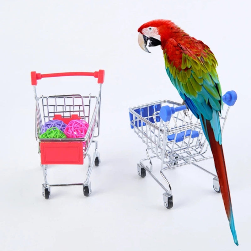 4-in-1 Parrot Bird Toy Set – Basketball, Skateboard, Stacking Ring, and Shopping Cart Interactive Training Toys