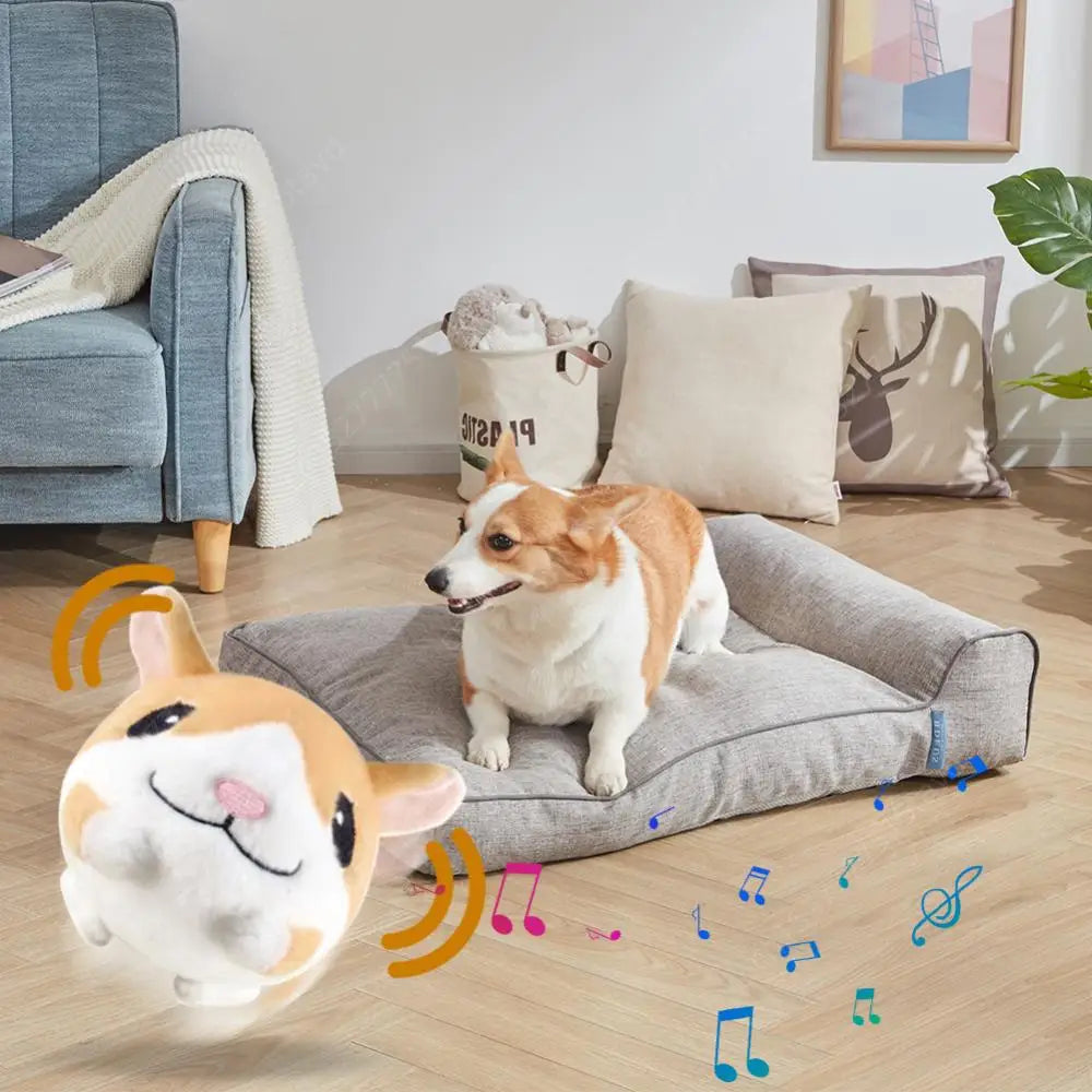 Talking Plush Ball Dog Toy – Interactive Bouncy Play 🧸🐾