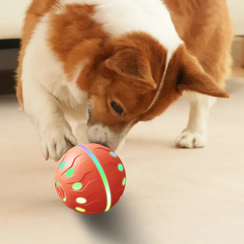 🎾 Automatic Bouncing & Rolling Smart Interactive Pet Toy Ball 🐾💡