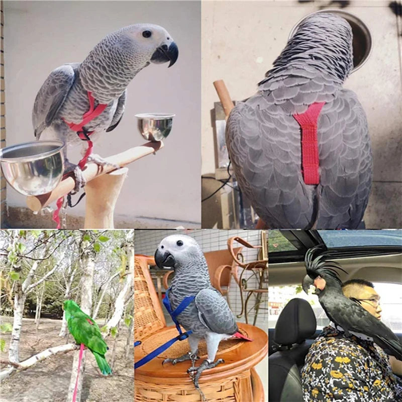 Bird Flying Training Leash – Anti-Bite Parrot Harness & Traction Rope