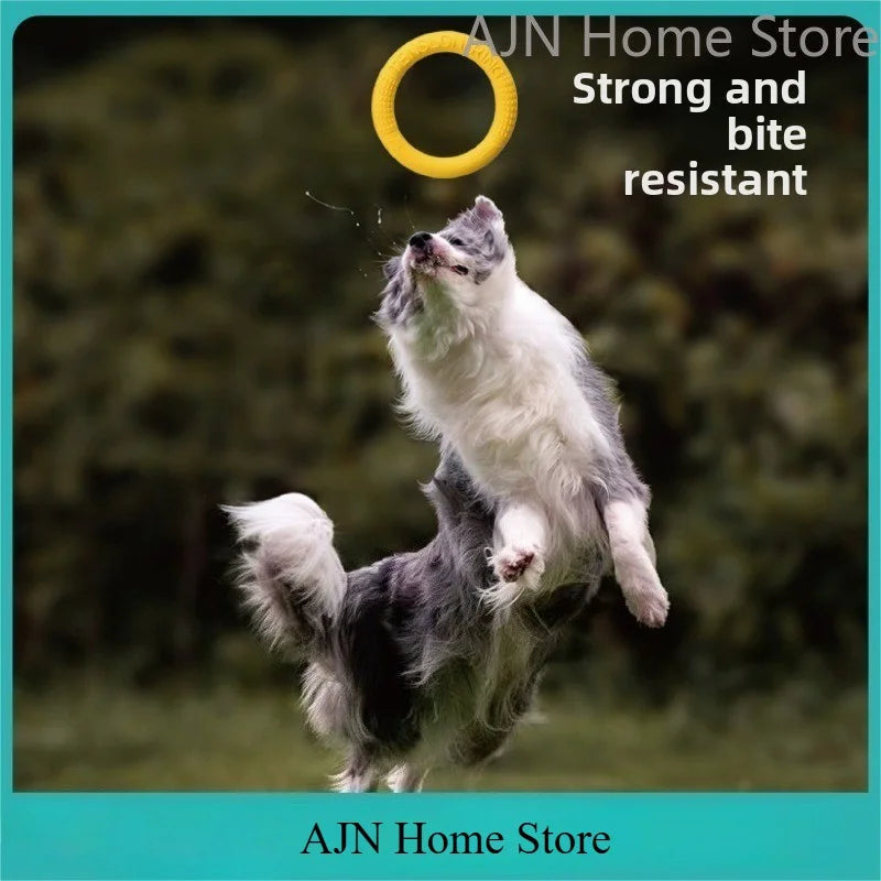 Dog Flying Disk Training Ring – Floating TPR Toy 🥏🐾