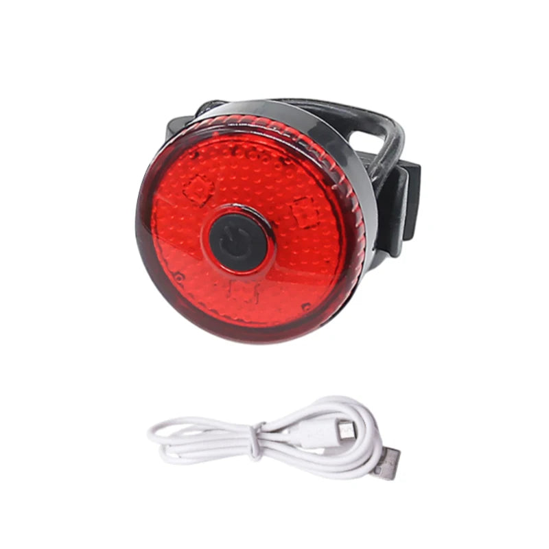 USB Rechargeable LED Pet Collar Pendant – Safety Light for Dogs & Cats, Night Walking Accessory
