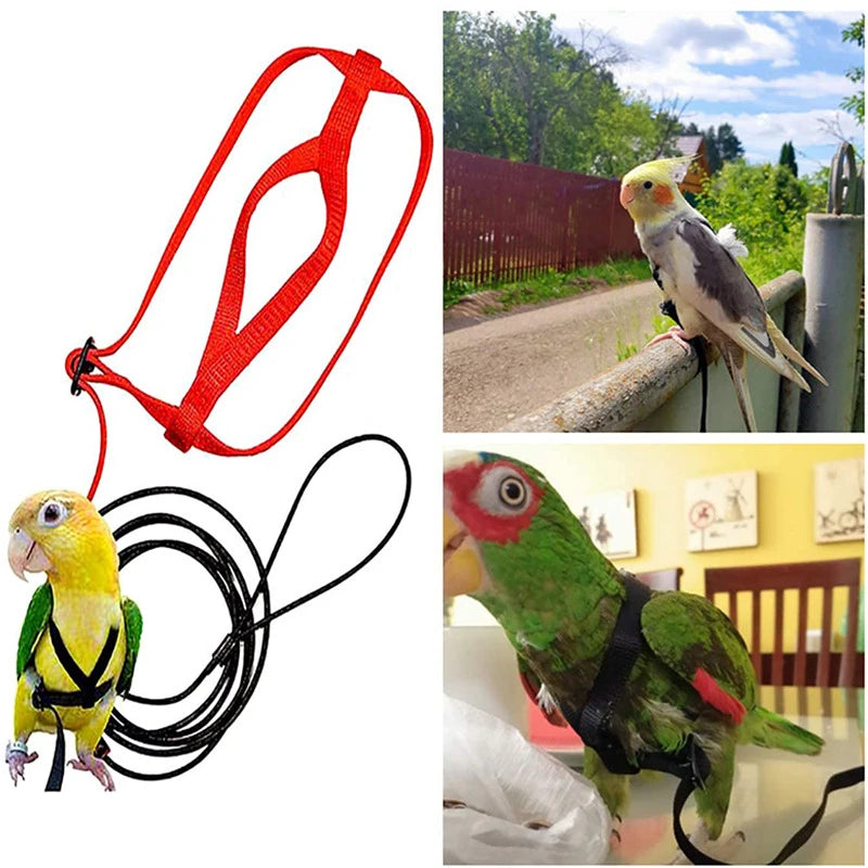 Bird Flying Training Leash – Anti-Bite Parrot Harness & Traction Rope