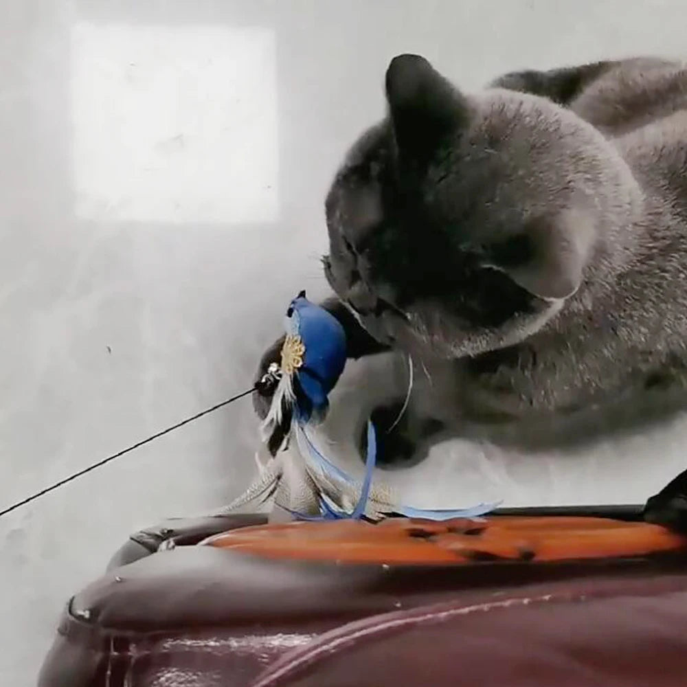 2pcs Replacement Feather Heads for Cat Teaser Stick Toy – Bird Pet Toy