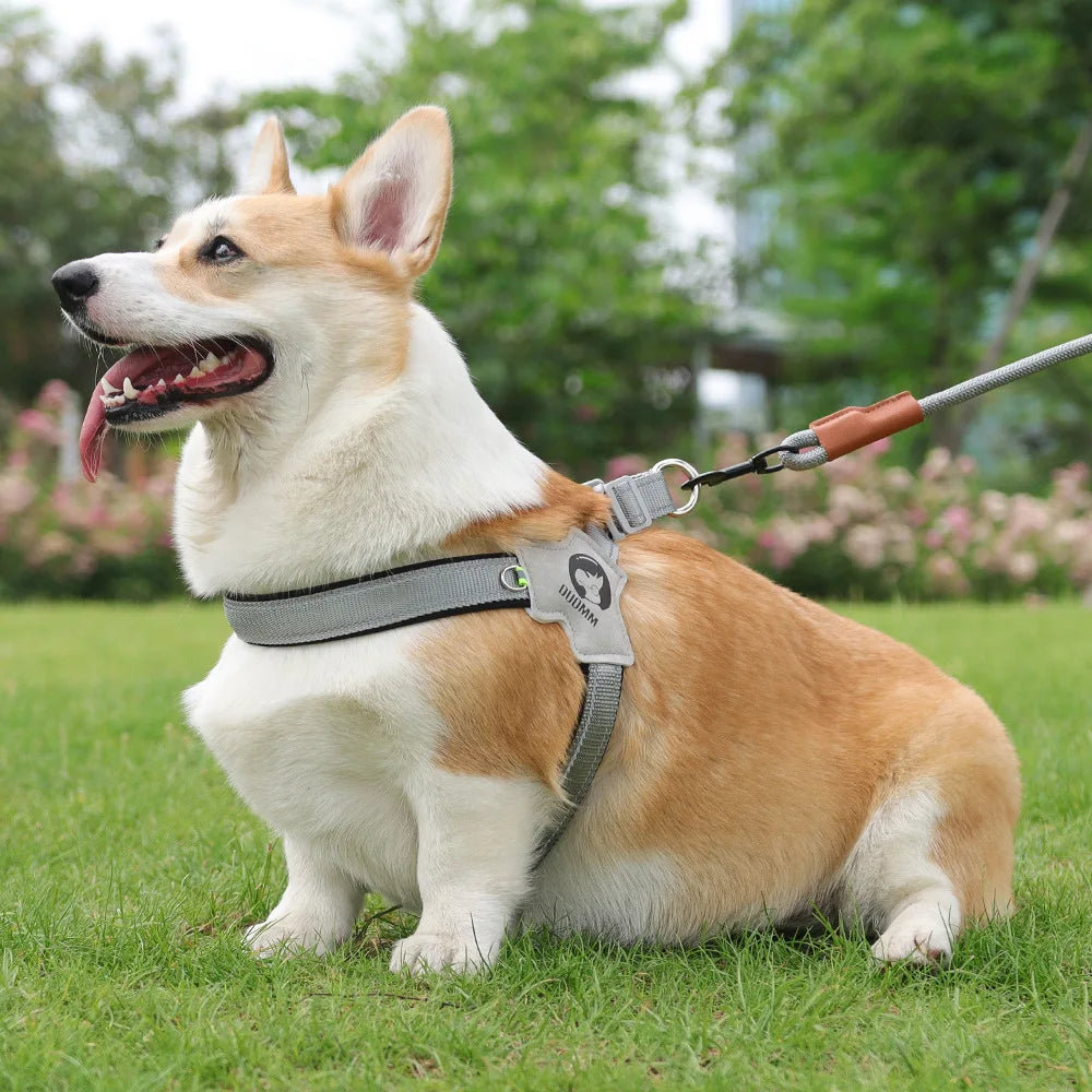 🐶 Adjustable Reflective Mesh Dog Harness – Pet Vest for Small & Large Dogs and Cats