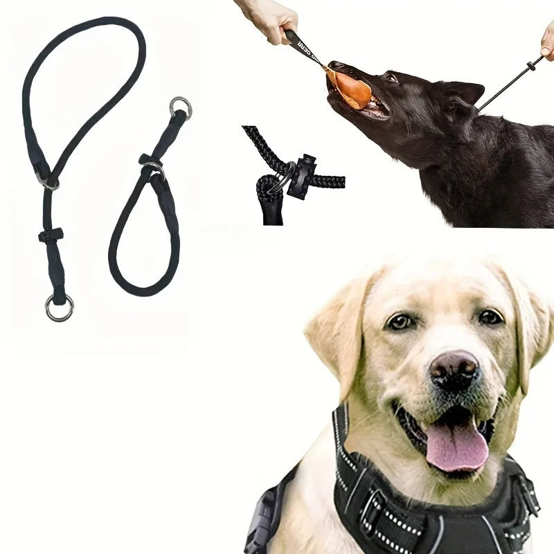 Polyester Dog Training Leash – Durable Adjustable Slip Loop Collar
