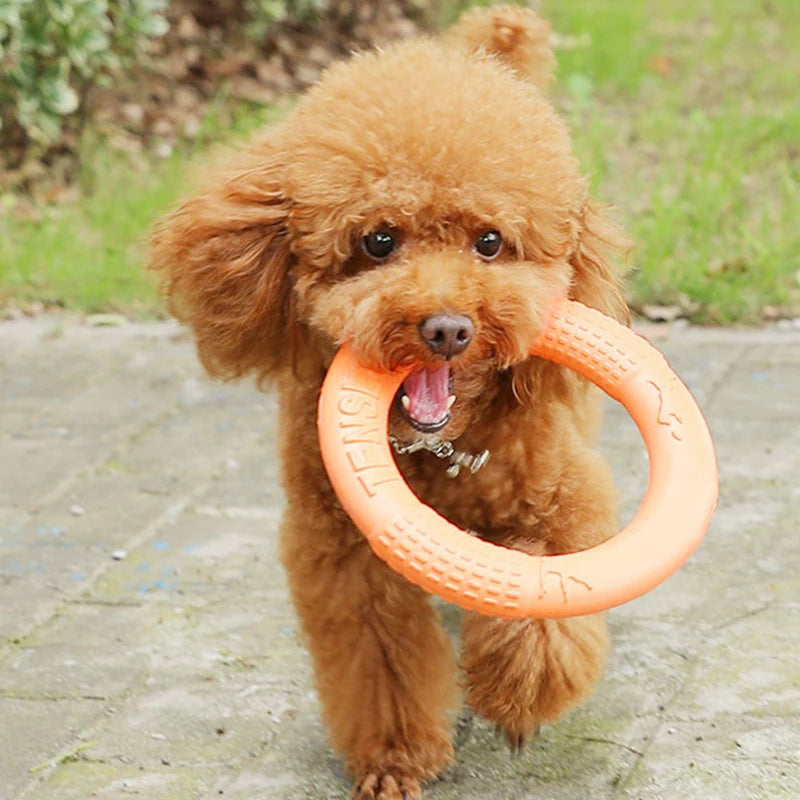 EVA Dog Training Ring Puller – Orange Interactive Flying Disk Toy for Dogs