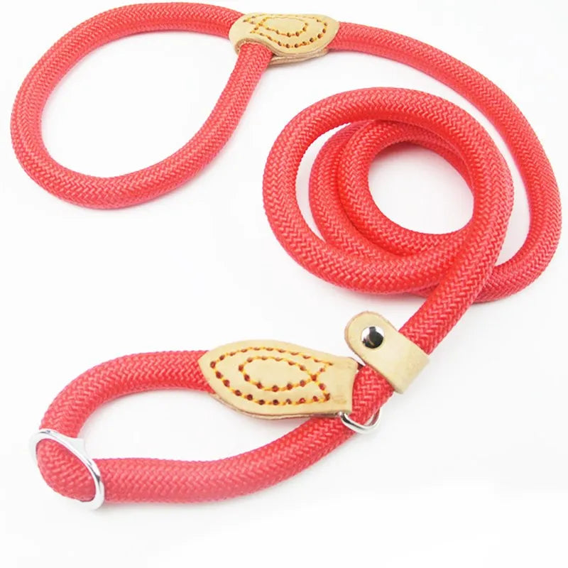 Heavy Duty Slip Rope Dog Leash – Braided Adjustable Training Lead with Loop Collar for Medium & Large Dogs