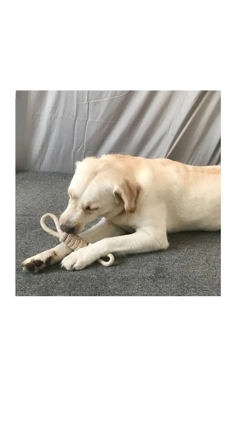 Knot Chew Toy – Teeth Cleaning & Interactive Play for Pets 🪢🐾