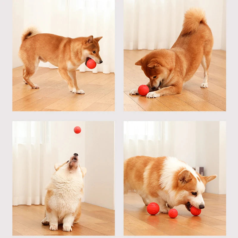 Indestructible Rubber Dog Ball – Durable Bouncy Chew Toy ⚽🐾