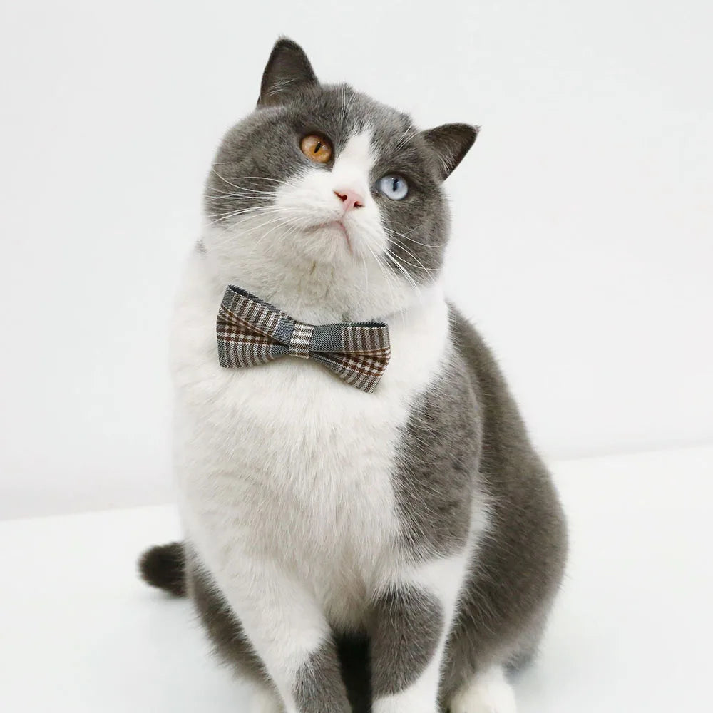 Adjustable Pet Bow Tie – Formal Breakaway Neck Tie Collar for Small Dogs & Cats