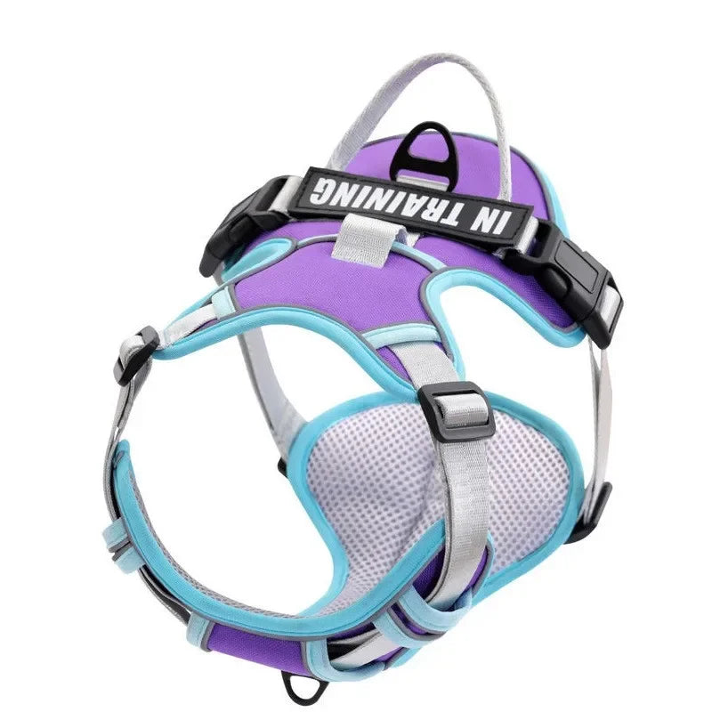 🐾 Personalized Nylon Adjustable Dog Harness – Reflective, Breathable Vest with Leash for Small, Medium & Large Dogs