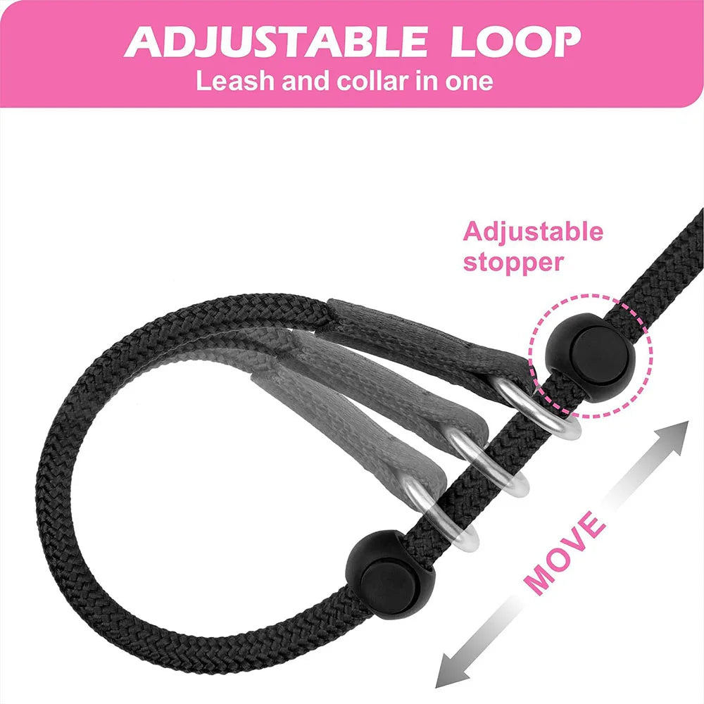 Dog Slip Lead Leash with Double Padded Handle – No Pull Training Lead with Choker Collar & Anti-Tangle Design