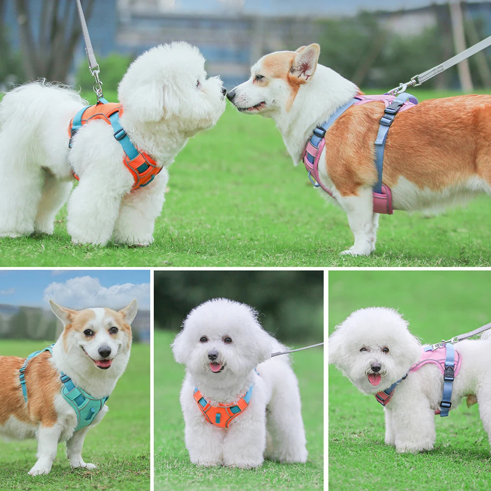 🐕 Mesh Breathable Reflective Dog Harness – Adjustable Nylon Training Vest for Small, Medium & Large Dogs