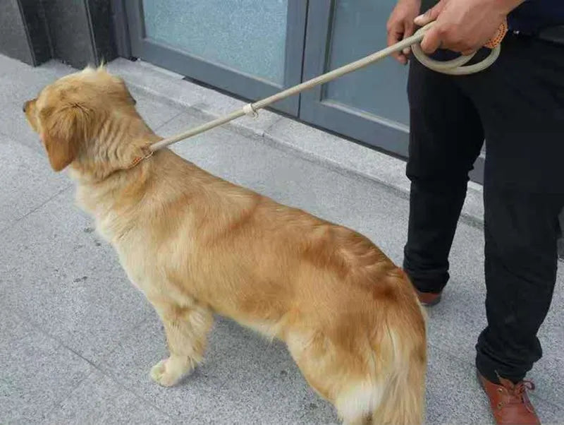 Heavy Duty Slip Rope Dog Leash – Adjustable Braided Training Lead