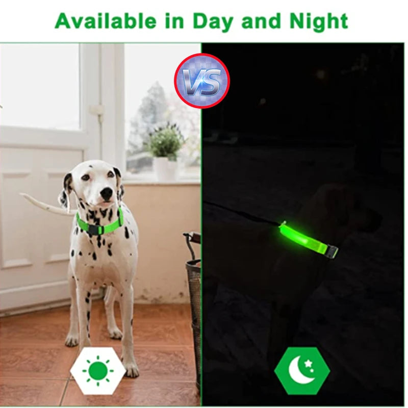 USB Rechargeable LED Glowing Pet Collar – Adjustable Night Light Safety Collar for Dogs & Cats
