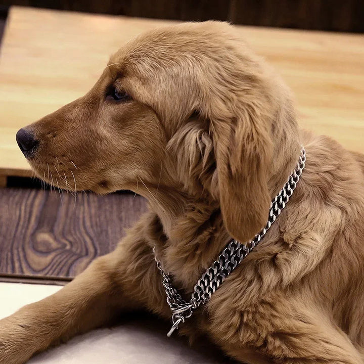 Adjustable Double Row Metal Dog Collar – 35-65cm Triple Ring Explosion-Proof Telescopic Chain for Training & Control
