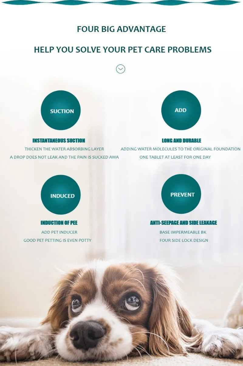 Reusable Dog Pee Pad Blanket – Washable Absorbent Puppy Training Pad & Pet Bed Urine Mat for Car Seat Protection