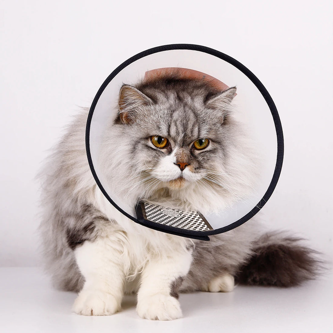 Comfy Pet Elizabethan Collar for Dogs – Soft Cone for Post-Surgery Recovery, Anti-Lick & Anti-Bite Protective Dog Collar