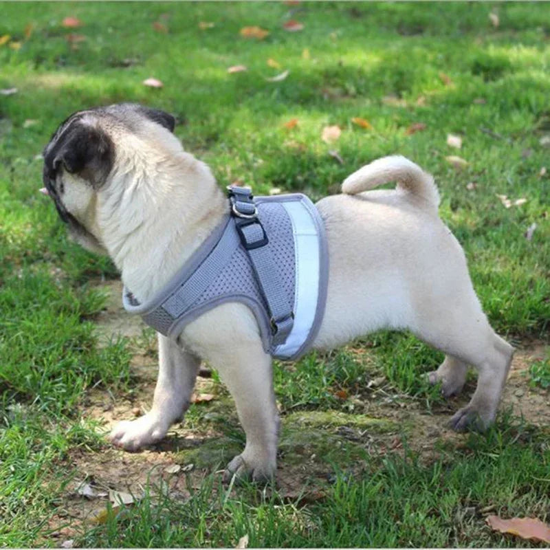 🐾 Adjustable Mesh Dog Harness & Leash Set – Breathable Vest with Collar and Traction Rope (XS–XL)